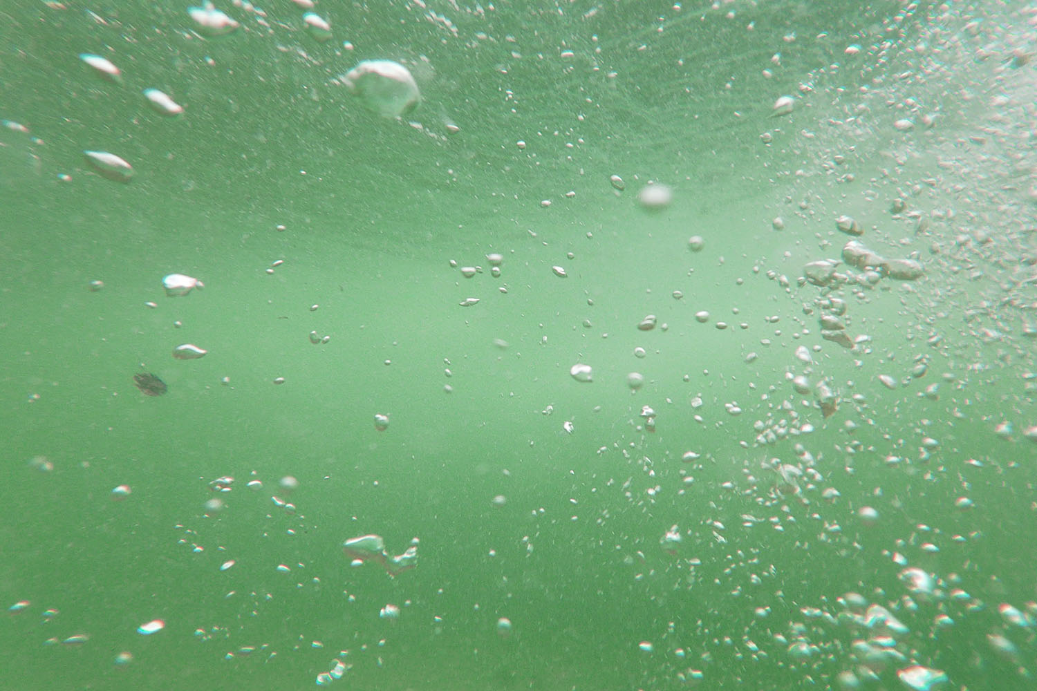 Why Would Hot Tub Water Turn Green at Lisa Perkins blog