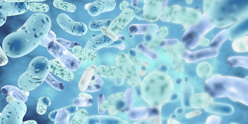 075cfc_6bf6e1b132cc4cf3ba293e846d7c02e8_mv2